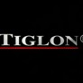 Tiglon