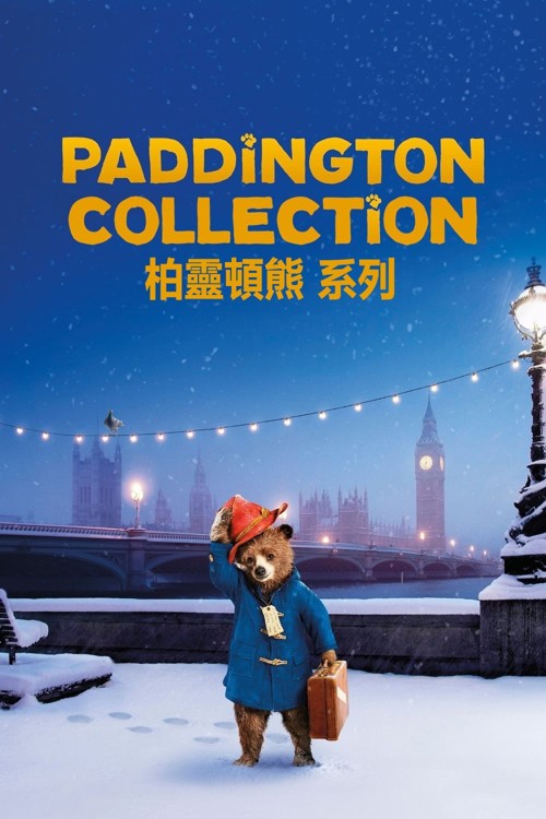 Ayı Paddington Koleksiyonu