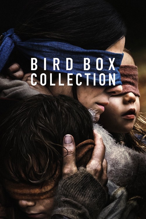 Bird Box Koleksiyonu