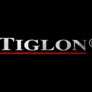 Tiglon