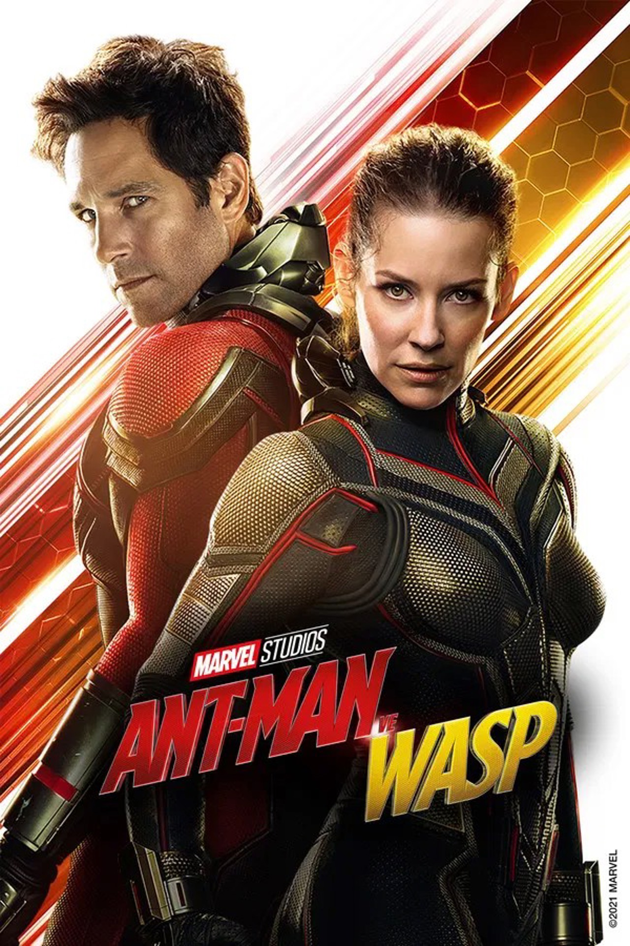 Ant-Man ve Wasp kapak görseli