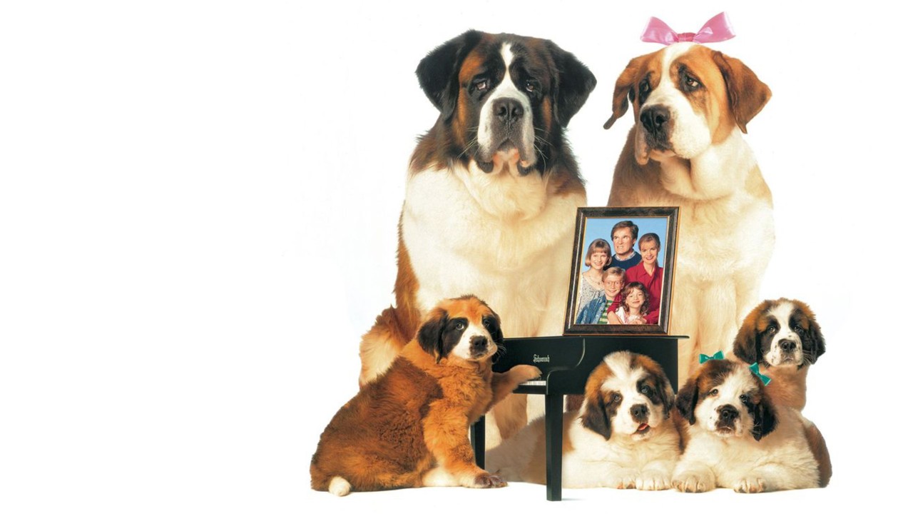 Afacan Köpek Beethoven 2 kapak görseli