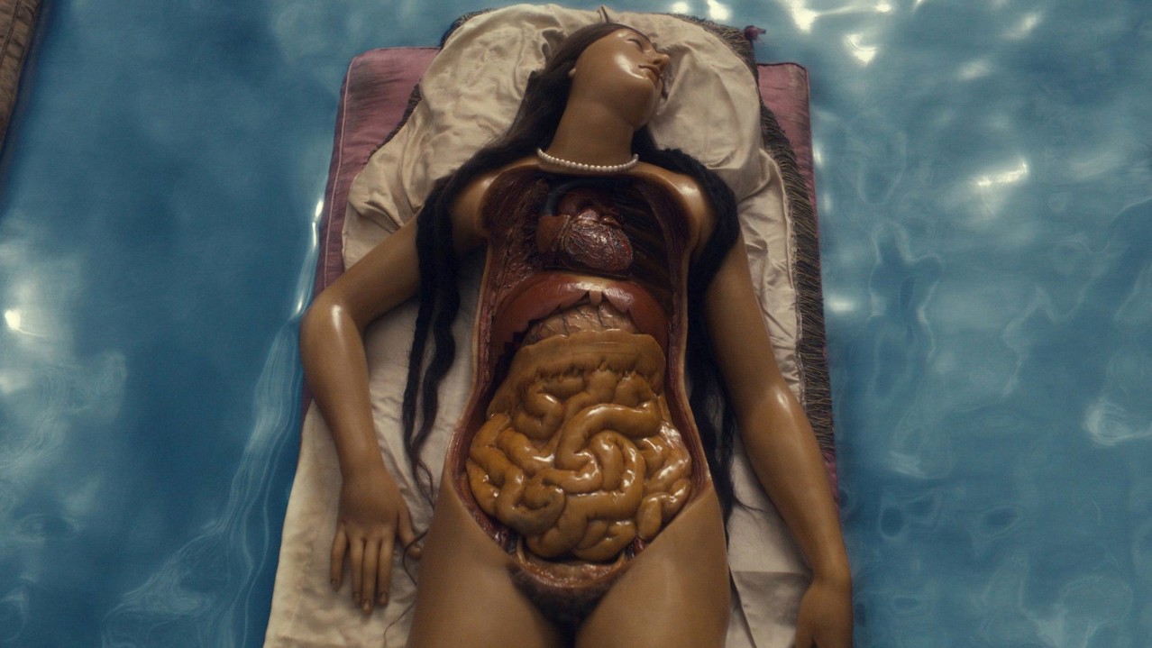 Four Unloved Women, Adrift on a Purposeless Sea, Experience the Ecstasy of Dissection kapak görseli