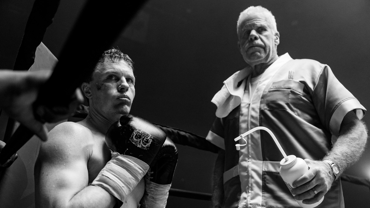 Day of the Fight kapak görseli