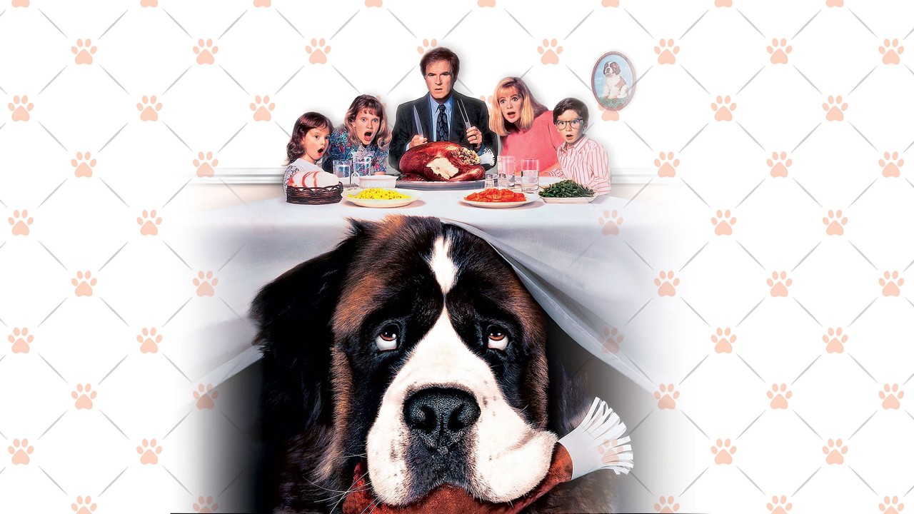 Afacan Köpek Beethoven kapak görseli