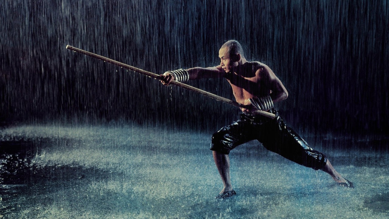 The 36th Chamber of Shaolin kapak görseli