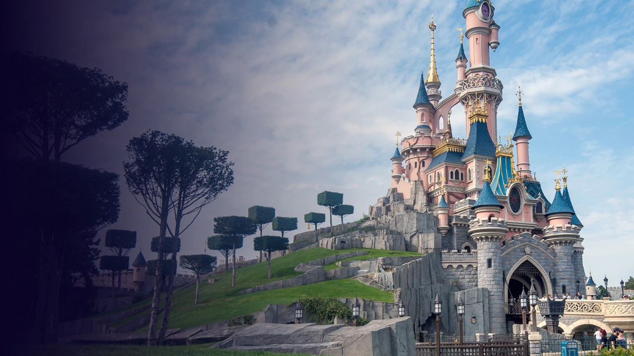 Il était une fois Disney & la France kapak görseli