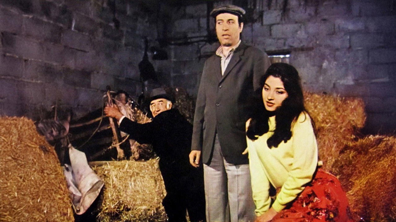 Tokatçı kapak görseli