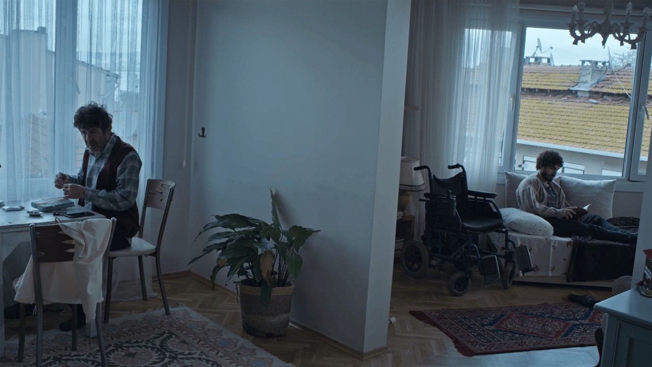 Hatırladığım Ağaçlar kapak görseli