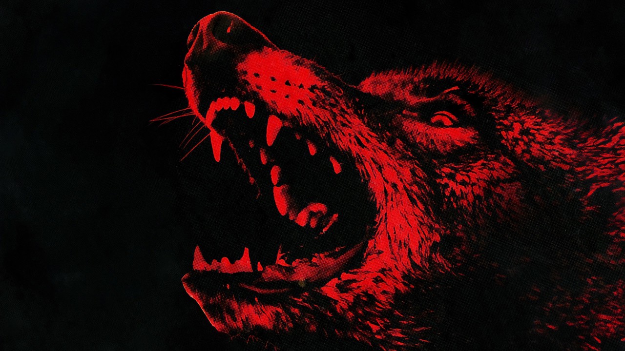 Coyotes kapak görseli