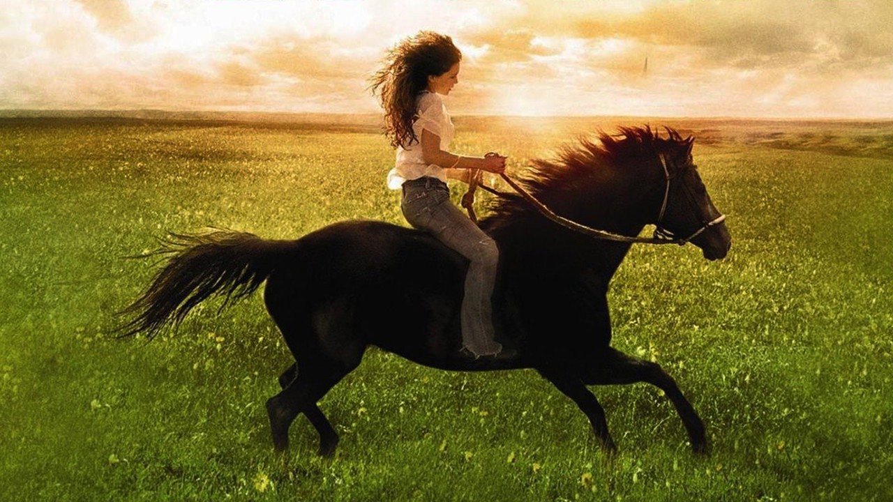 Flicka kapak görseli