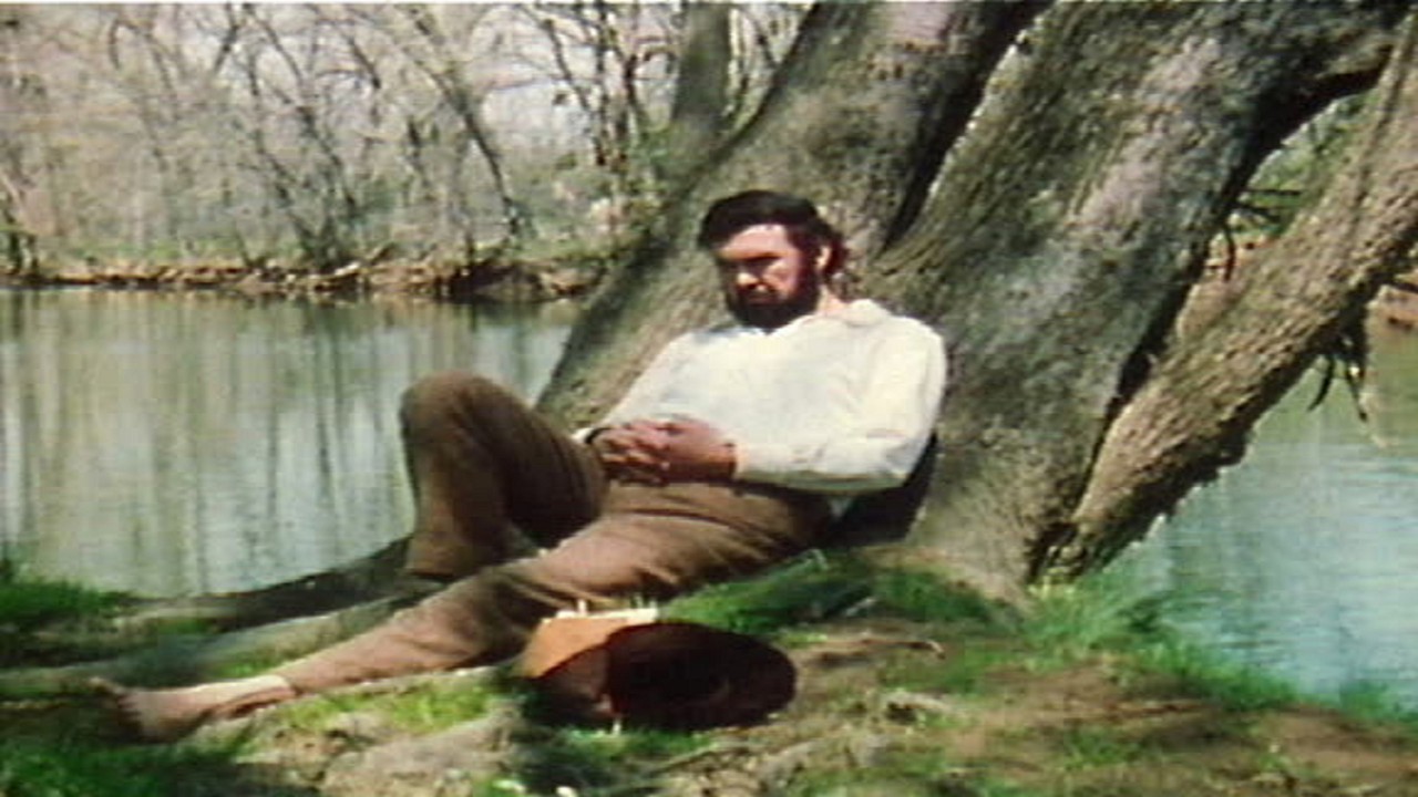 Walt Whitman: Poet for a New Age kapak görseli