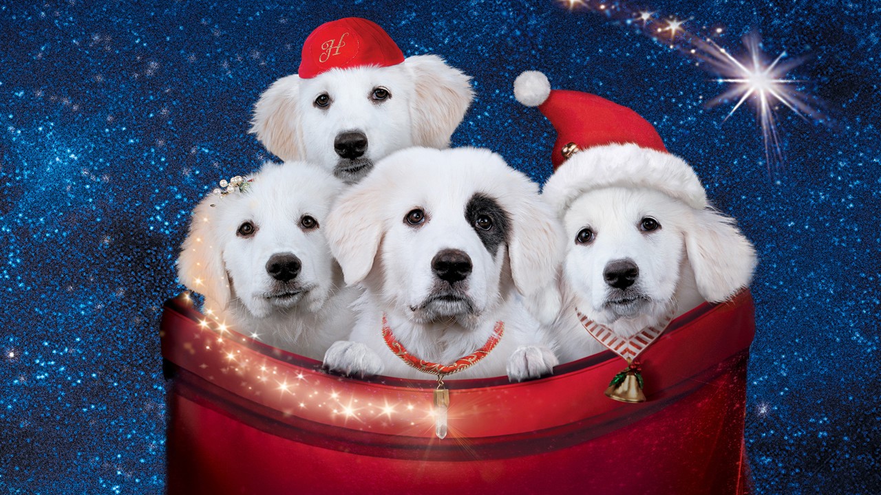 Santa Paws 2: The Santa Pups kapak görseli