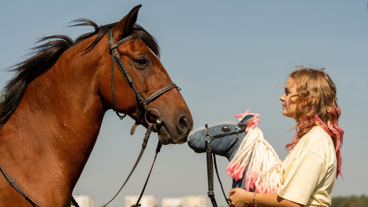 Pferd am Stiel kapak görseli