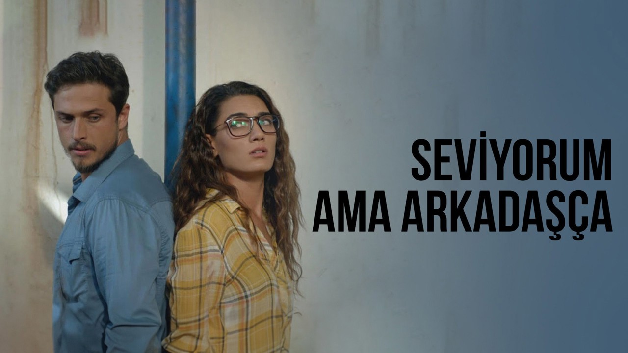 Seviyorum Ama Arkadaşça kapak görseli