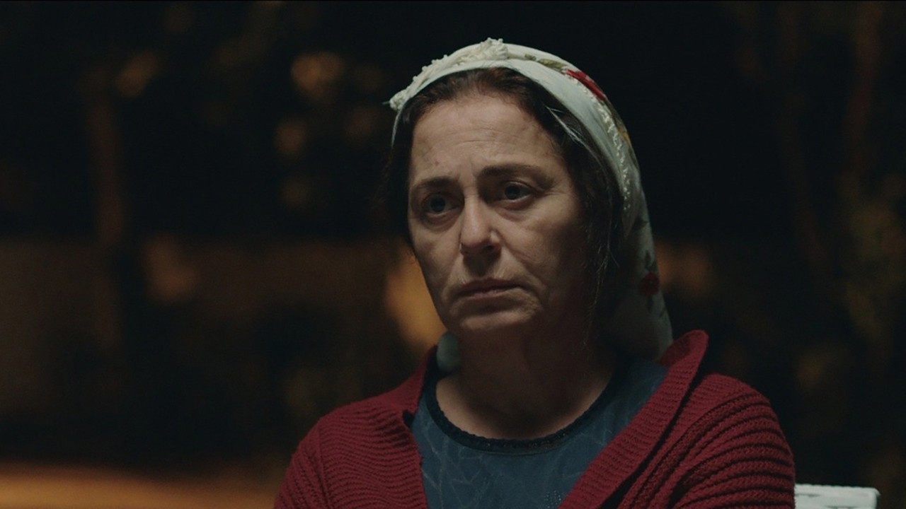 Annemin Solgun Çiçekleri kapak görseli