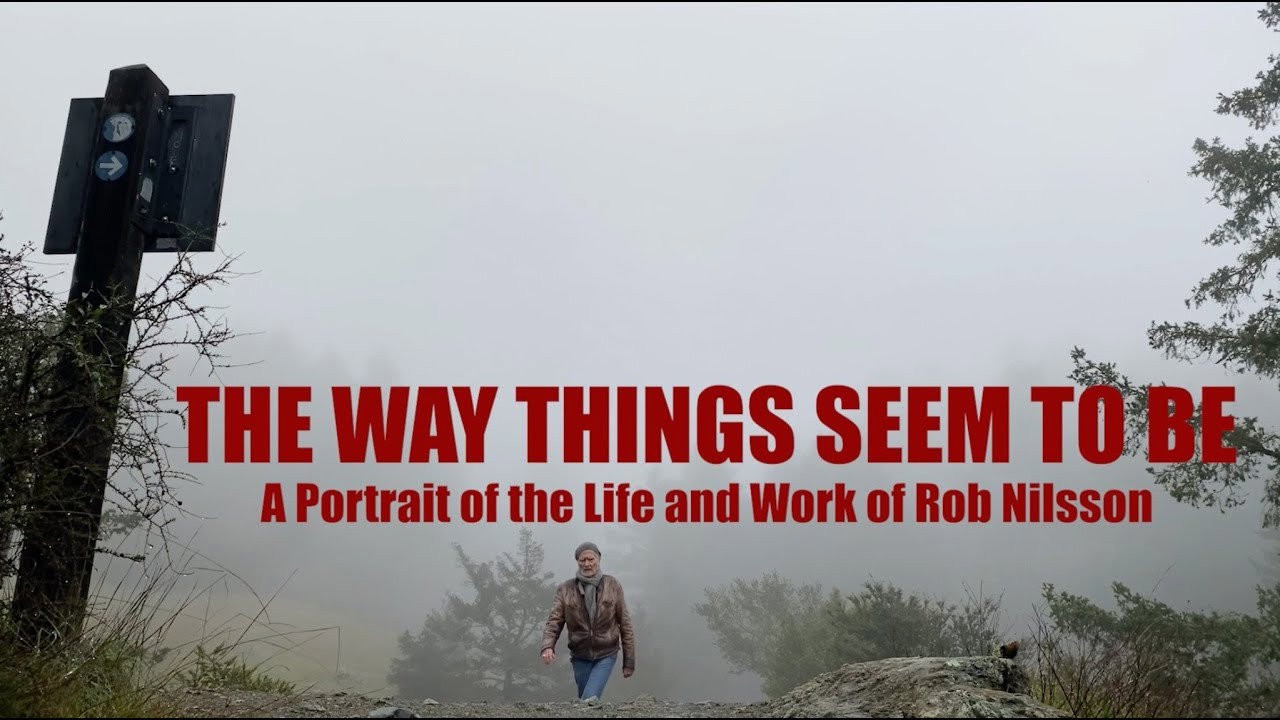 The Way Things Seem to Be kapak görseli