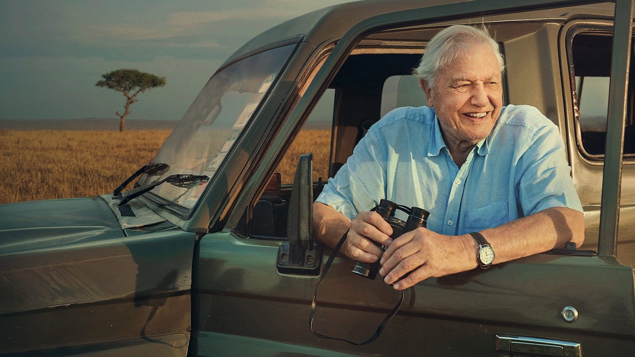 David Attenborough's 100 Years on Planet Earth kapak görseli