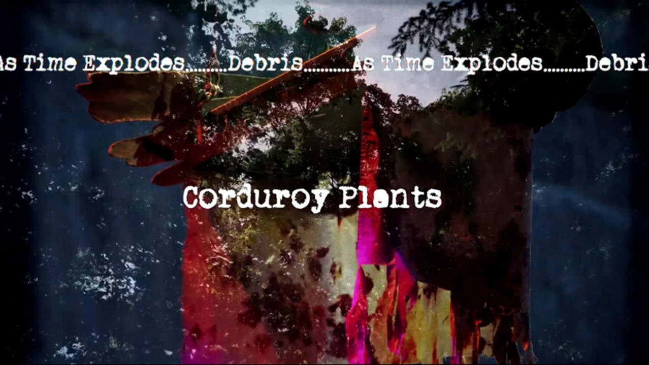 Corduroy Plants kapak görseli