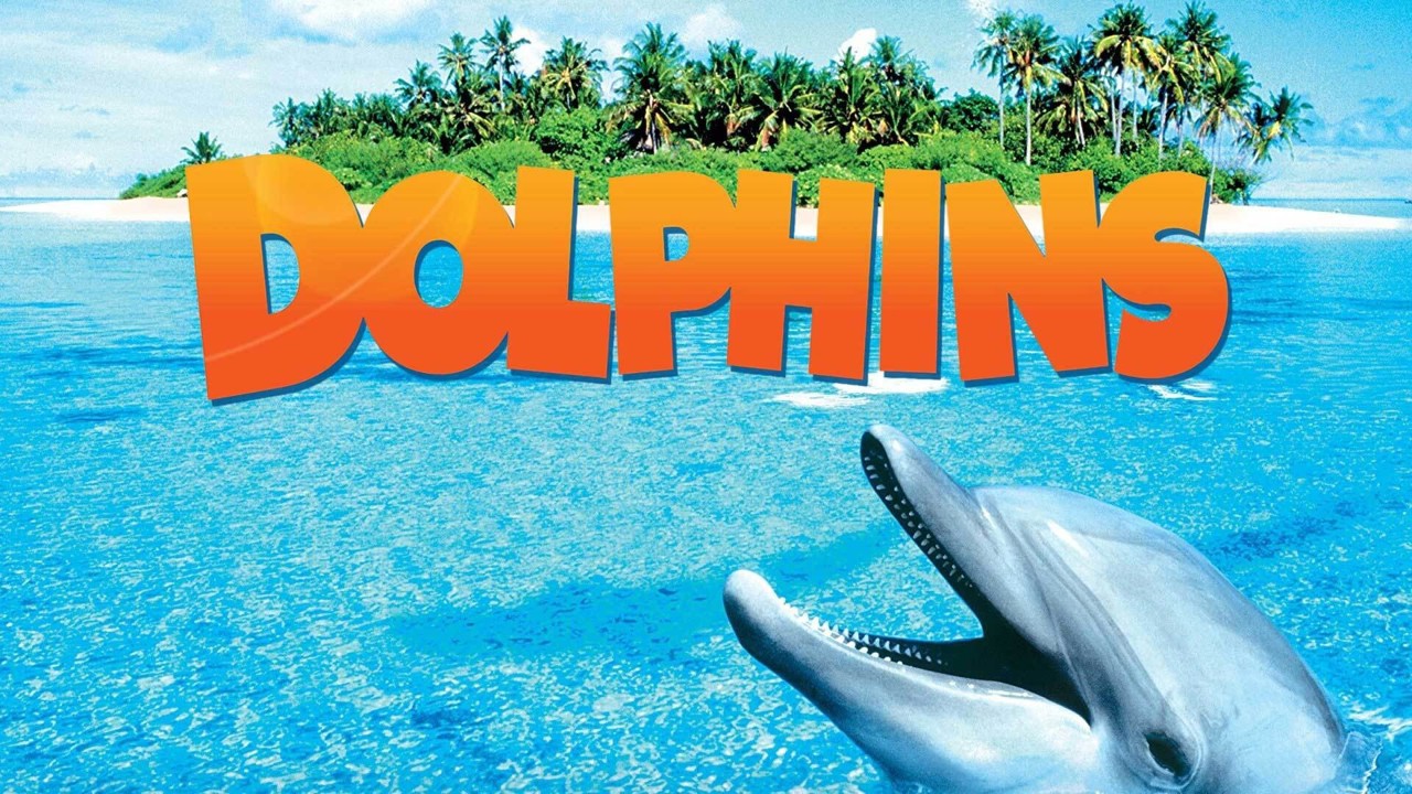 Dolphins kapak görseli