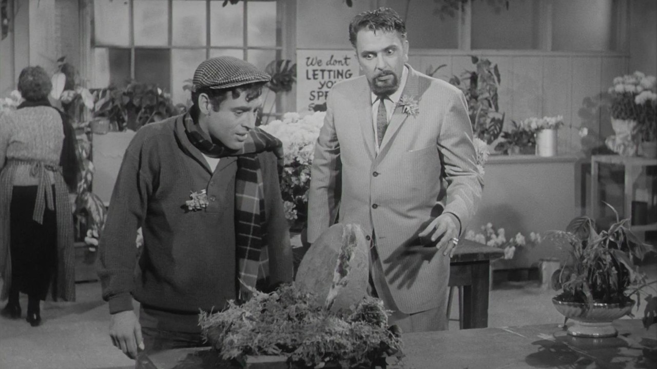 The Little Shop of Horrors kapak görseli