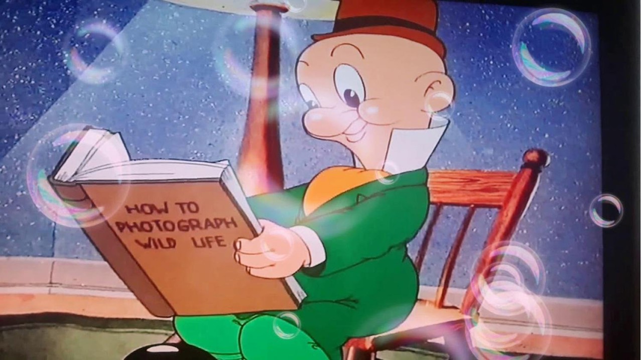 Looney Tunes Spotlight Collection: The Premiere Edition kapak görseli