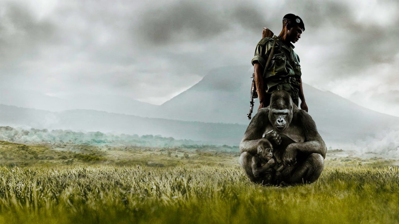 Virunga kapak görseli
