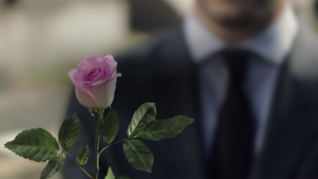 A Rose Reborn kapak görseli