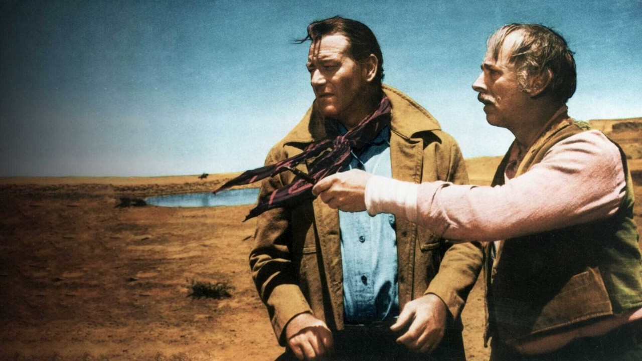 Çöl Aslanı kapak görseli