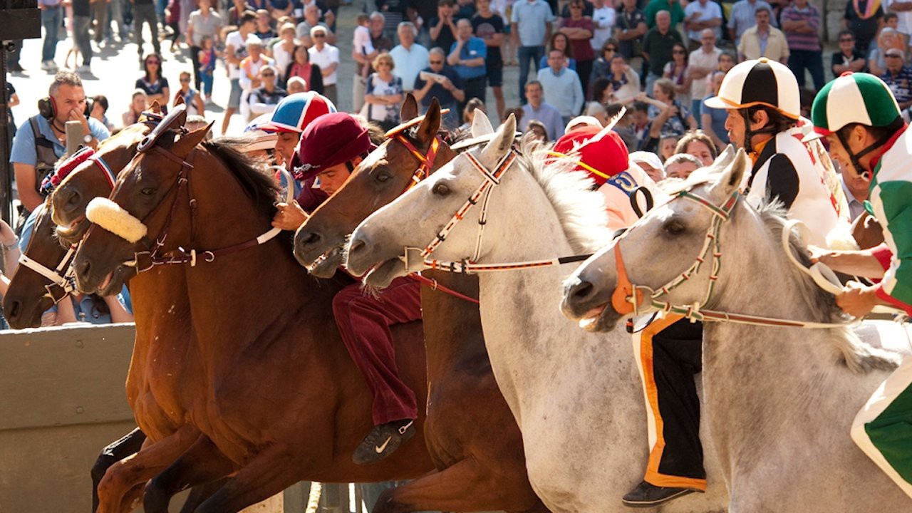 Palio kapak görseli