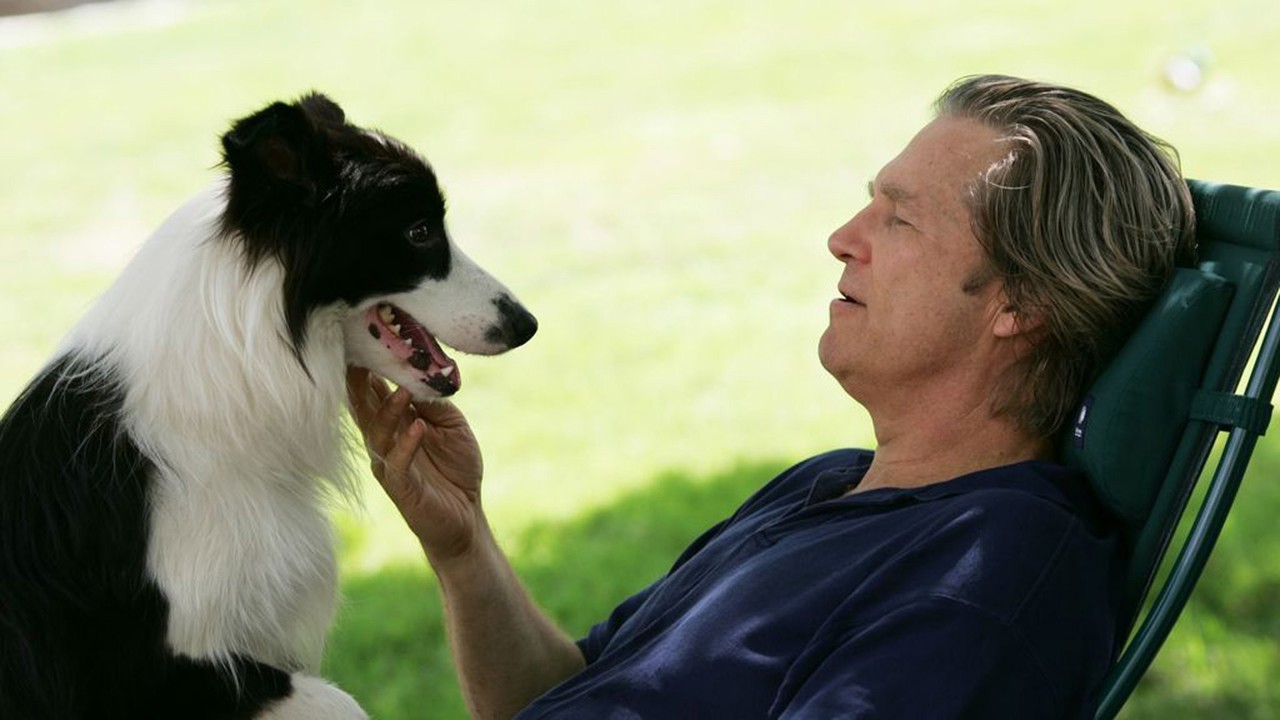 Bir Köpek Yılı kapak görseli
