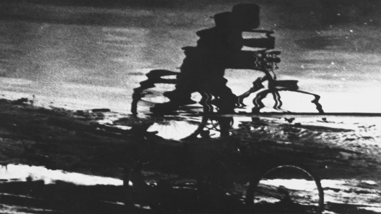 Boy and Bicycle kapak görseli