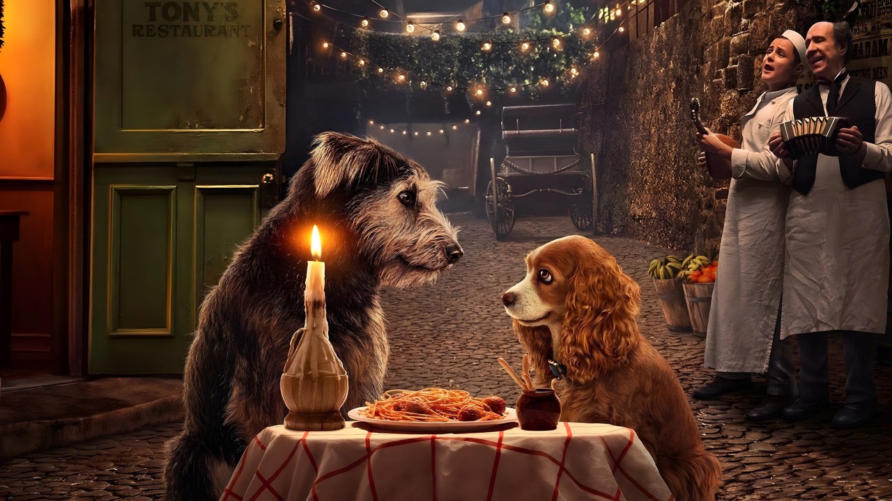 Lady ile Sokak Köpeği kapak görseli