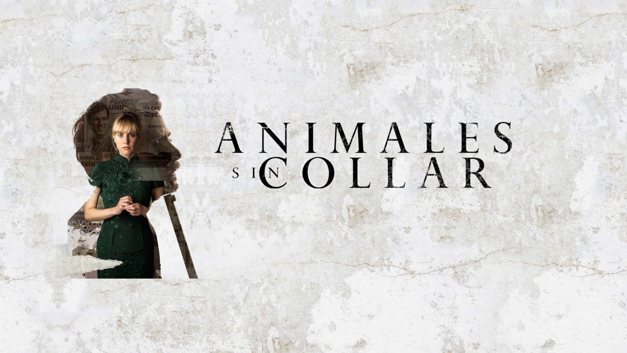 Animales sin collar kapak görseli