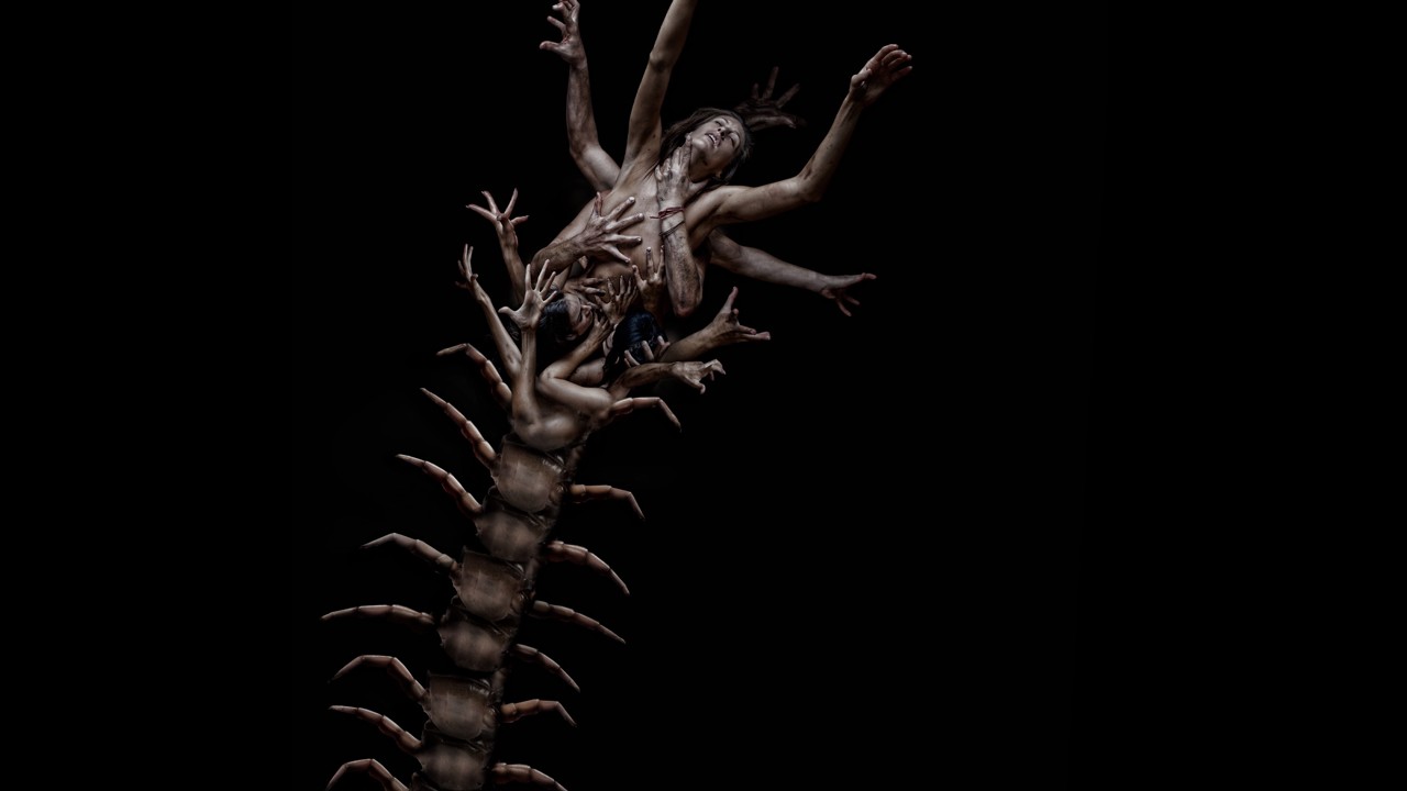 The Human Centipede 2 (Full Sequence) kapak görseli