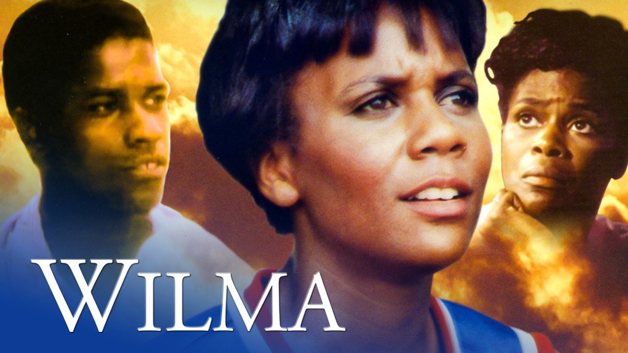 Wilma kapak görseli