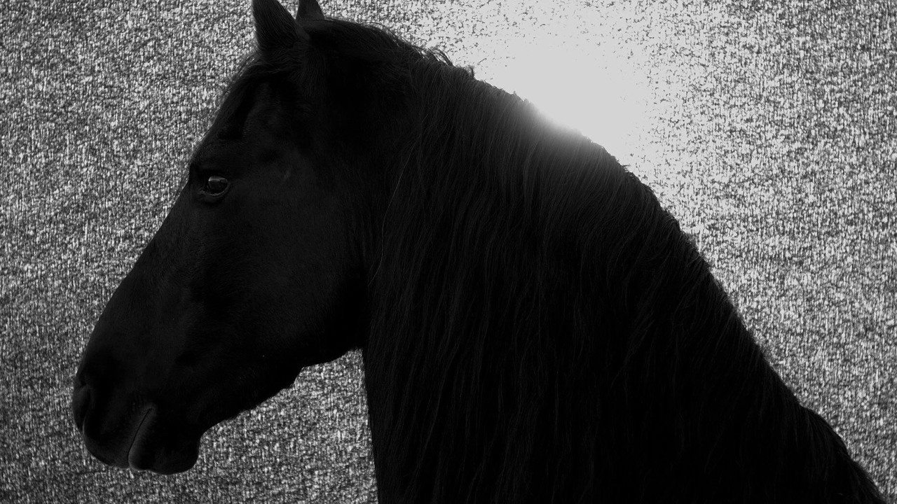 Absent Now the Dead kapak görseli