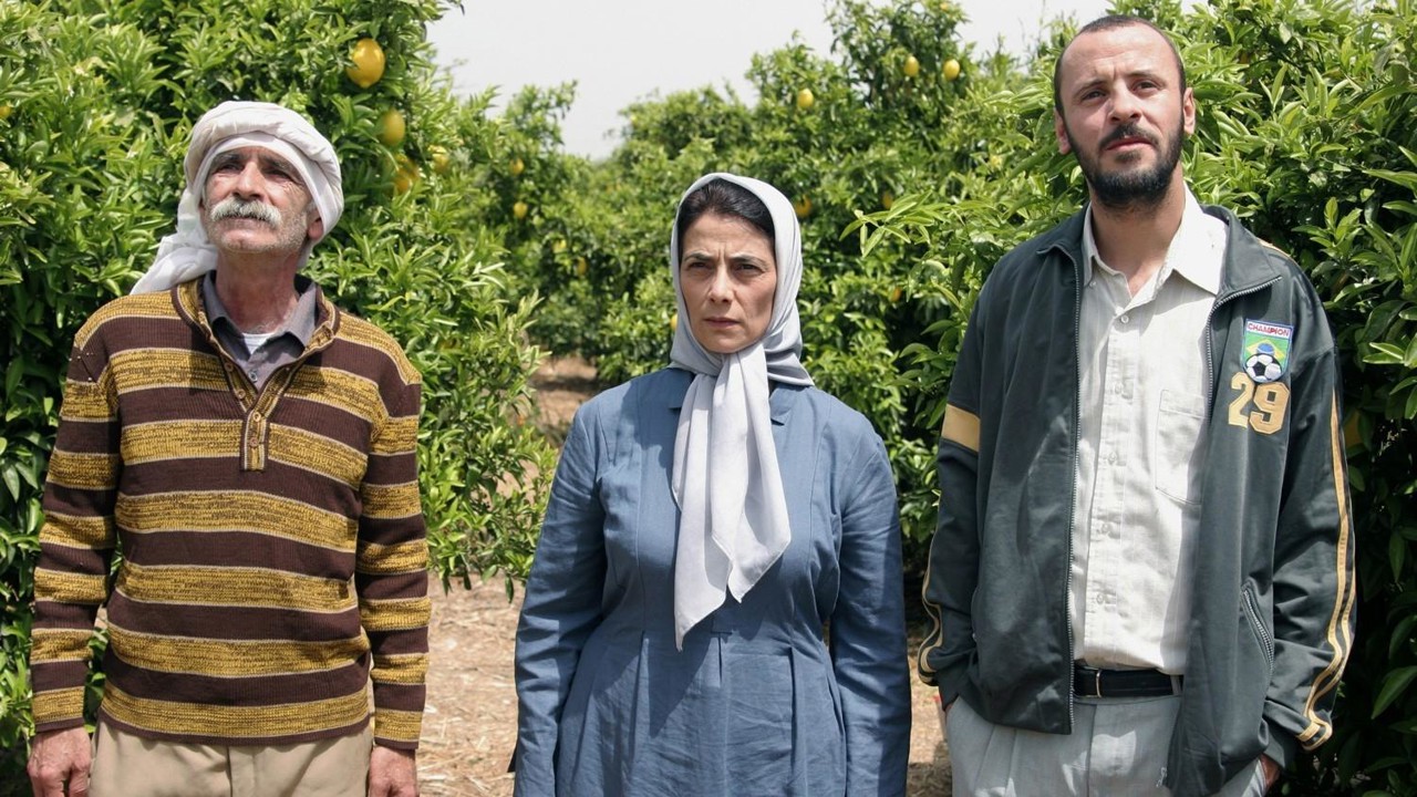 Limon Ağacı kapak görseli