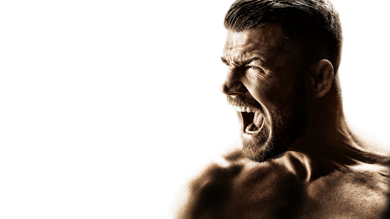 Bisping kapak görseli