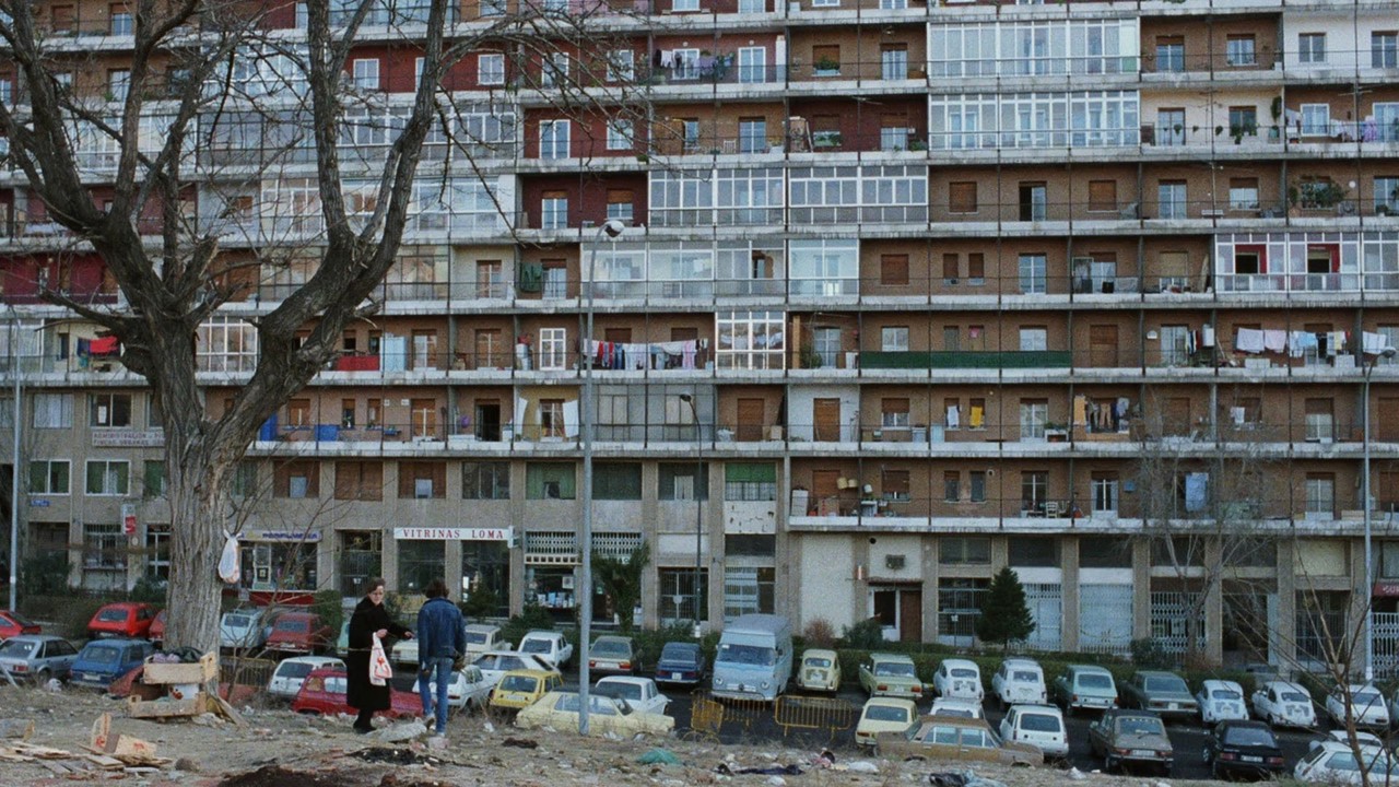 Bunu Hak Edecek Ne Yaptım? kapak görseli