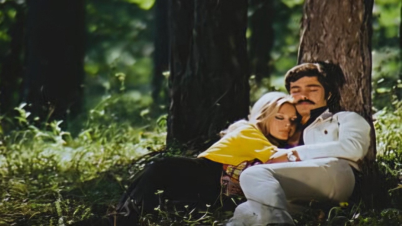 Almanyalı Yarim kapak görseli