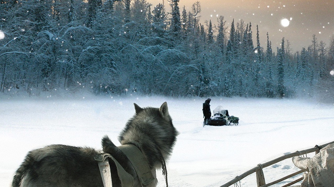 Happy People: A Year in the Taiga kapak görseli