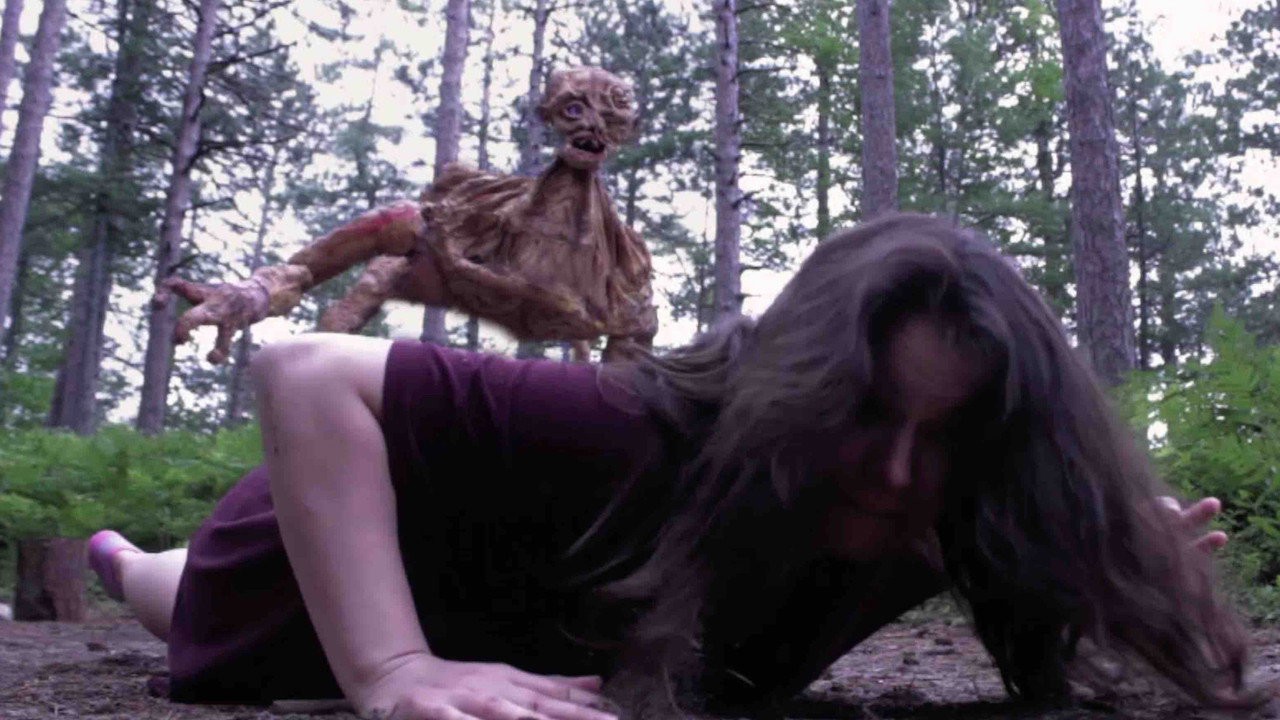 Monsters in the Woods kapak görseli