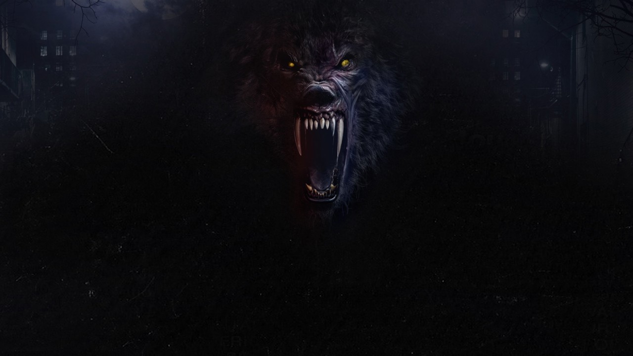 Werewolves kapak görseli