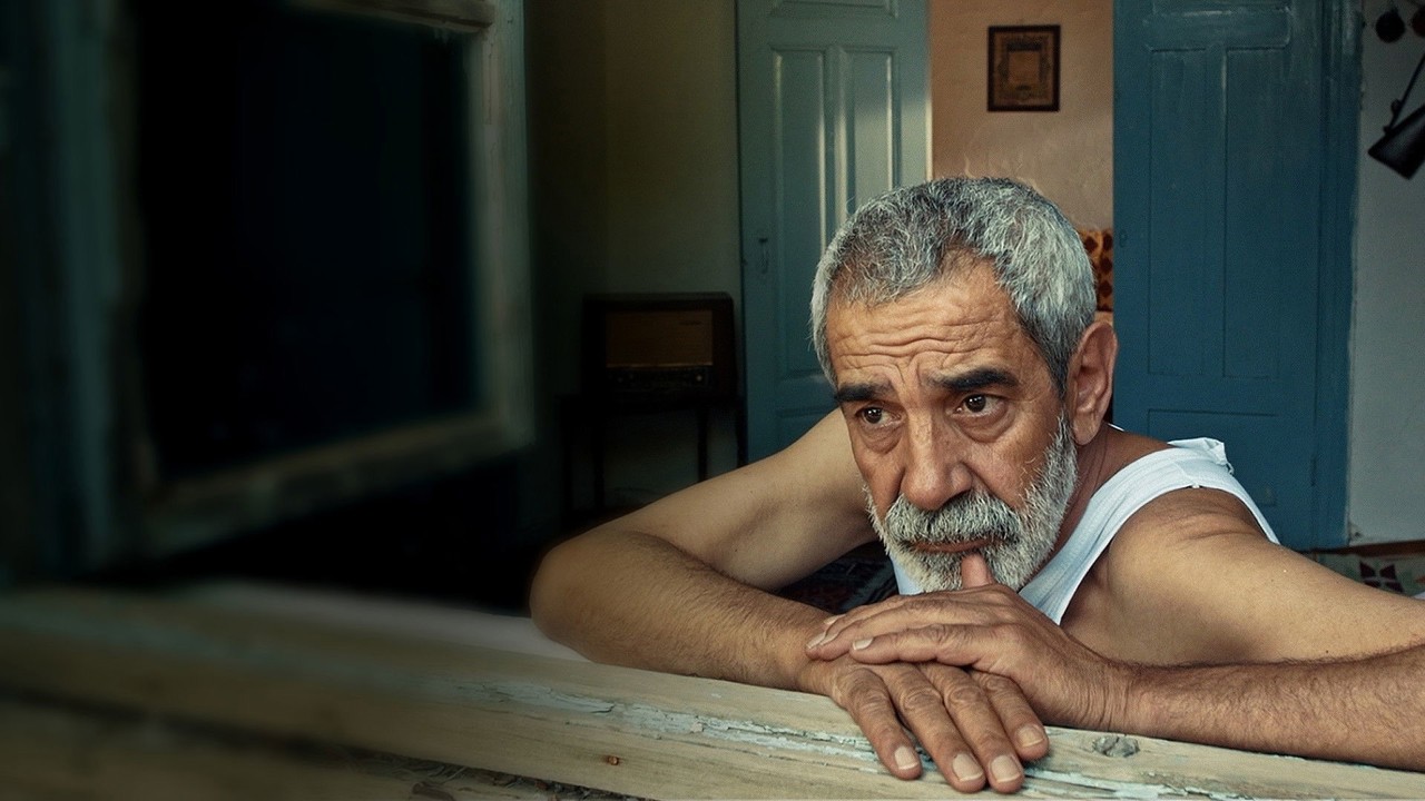 Vicdan Ağacı kapak görseli