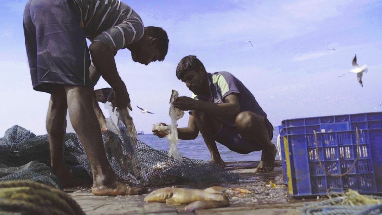Against the Tide Fragmanı