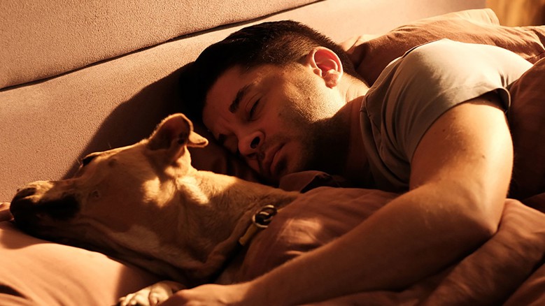 Dikkat Köpek Var Fragmanı