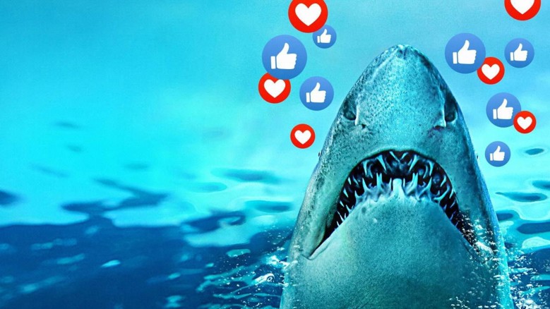 Sharks Gone Viral Fragmanı