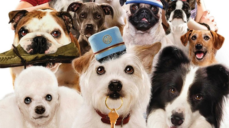 Köpek Oteli Fragmanı