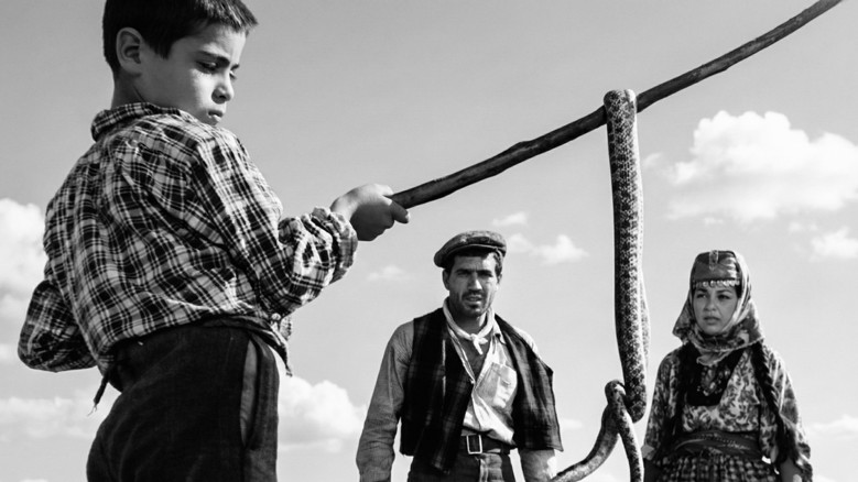 Yılanların Öcü Fragmanı